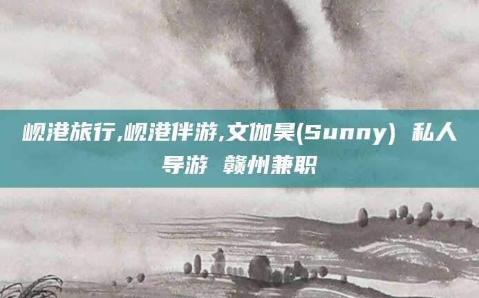 柳林岘港旅行,岘港伴游,文伽昊(Sunny) 私人导游 赣州兼职